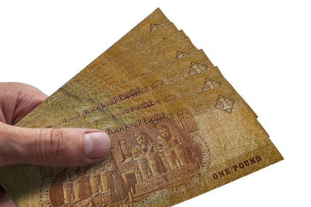 Ruka držící Egyptské libry. Egp. Egyptská měna. - Fotografie, Obrázek