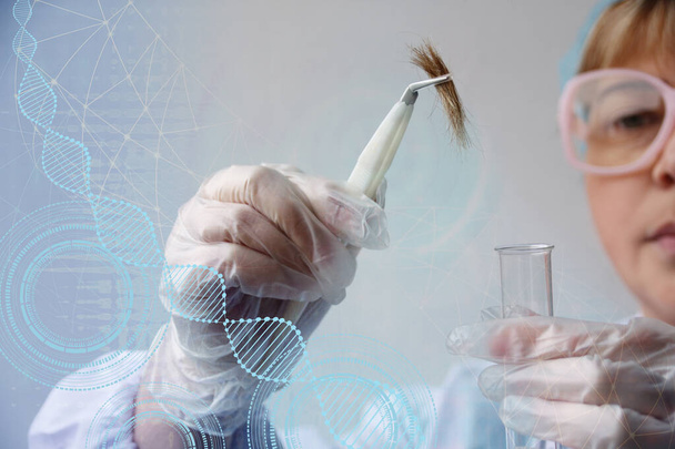 laboratory assistant examines a hair sample, curls in a package for research by genetic research in the laboratory, concept of DNA analysis, establishing paternity - Photo, image