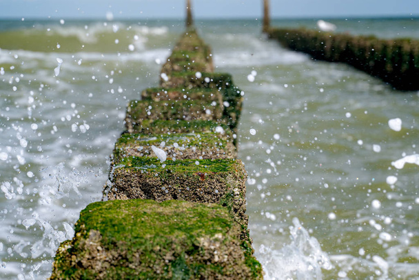Close up strandpalen bespat door water aan de zeekust - Foto, afbeelding