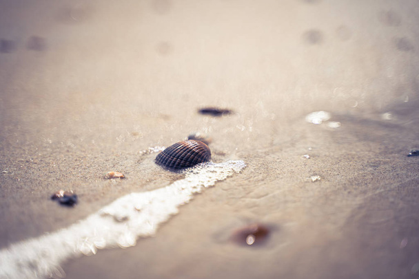Летнее фото с лучами солнца на мокром песчаном пляже. детали пляжа вдоль побережья Северного моря в Нидерландах
. - Фото, изображение
