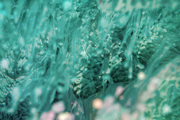 Petri arte - una técnica moderna en la pintura, se crea mediante la adición de tinta alcohólica a epoxi. Después del endurecimiento, las gotas de tinta se endurecen y parecen un plexo de algas, arrecifes de caramelo y el fondo marino.
. - Foto, imagen