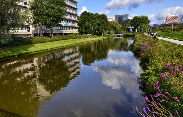 Άμστερνταμ, Ολλανδία, Αύγουστος 2019. Στα περίχωρα τα κανάλια είναι - Φωτογραφία, εικόνα