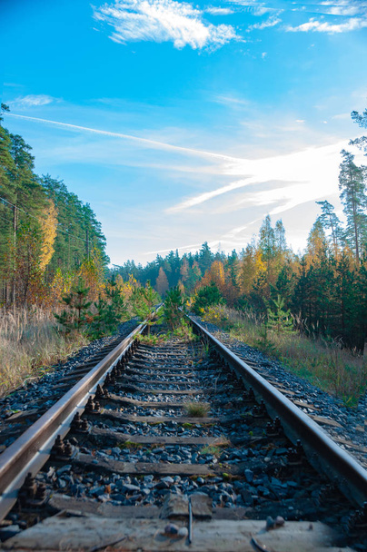 Neaktivní podzimní železnice - Fotografie, Obrázek