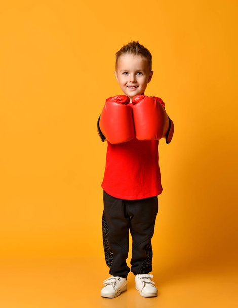 cute little boy with boxing gloves - Фото, изображение