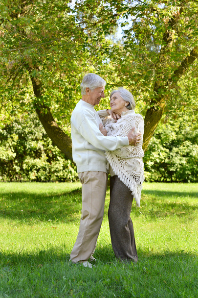 Adorable elderly couple went in the park - Photo, image