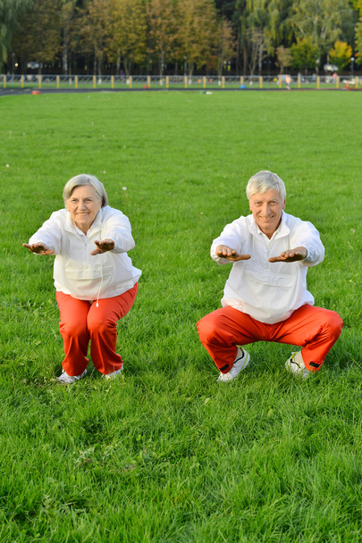 Sportive elderly couple - Foto, Imagem