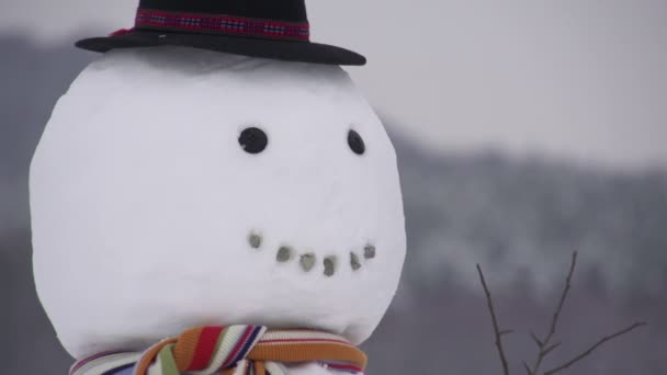 κορίτσι κτίριο έναν χιονάνθρωπο - Πλάνα, βίντεο