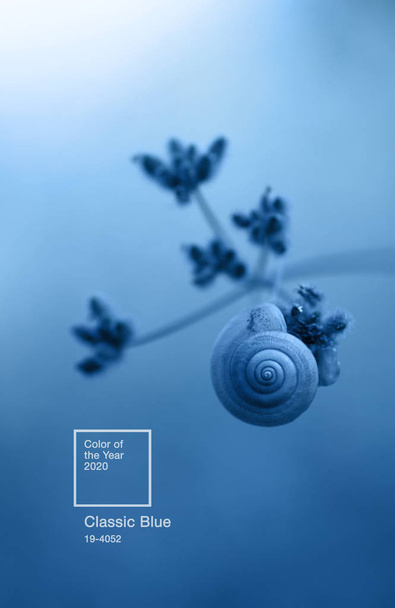 Macro photo of snail shells on twig of plant. Color of the year 2020 - Classic Blue. - Photo, Image
