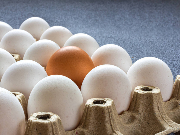 En el paquete de huevos hay un huevo marrón entre los huevos blancos
 - Foto, imagen