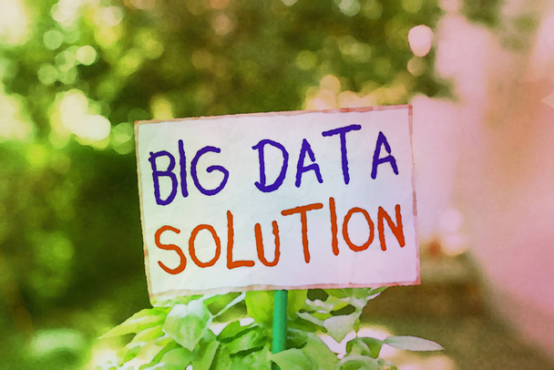 Conceptual hand writing showing Big Data Solution. Business photo showcasing Extracting value from huge volumes of a variety of facts Plain paper attached to stick and placed in the grassy land. - Photo, Image