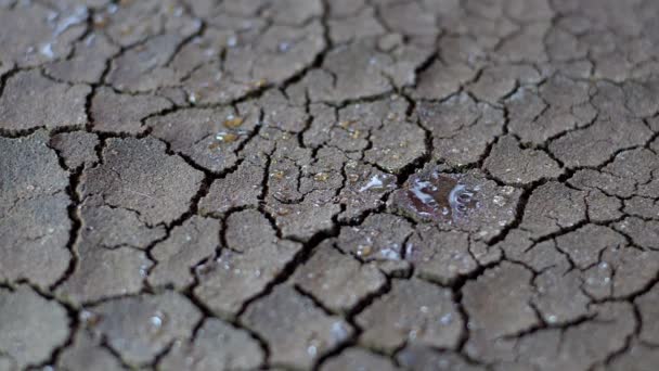 Gotas de agua caen sobre suelo seco fracturado de sequía
 - Metraje, vídeo