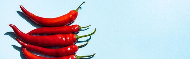 Top view of organic chili peppers on blue background with copy space, panoramic shot - Photo, Image