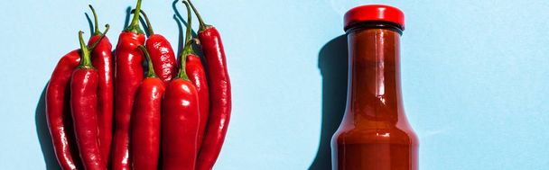Vista superior de la salsa de chile en botella con chiles sobre fondo azul, plano panorámico
 - Foto, imagen