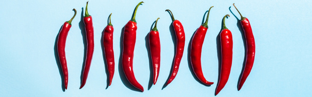 Top view of chili peppers with shadow on blue surface, panoramic shot - Foto, Imagem