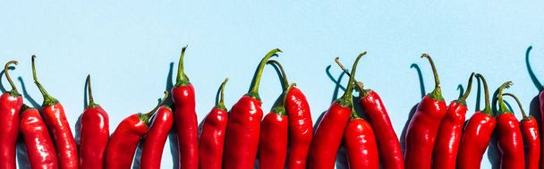 Top view of raw chili peppers on blue background, panoramic shot - Valokuva, kuva
