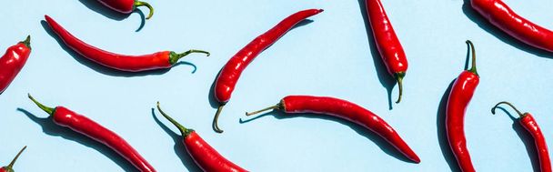 Top view of ripe chili peppers with shadow on blue surface, panoramic shot - Fotó, kép