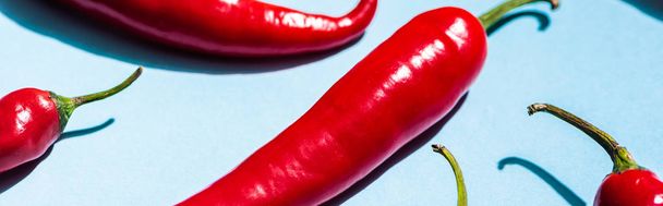 Close up view of red chili peppers on blue background, panoramic shot - Valokuva, kuva