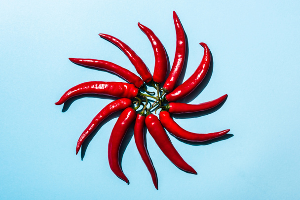 Bovenaanzicht van pittige chili pepers in ronde vorm op blauw oppervlak - Foto, afbeelding