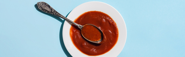 Top view of plate with homemade ketchup on blue background, panoramic shot - Fotó, kép