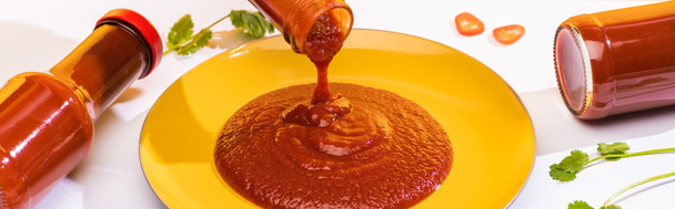 Panoramaaufnahme von köstlichem Ketchup auf Teller neben Koriander auf weißem Hintergrund - Foto, Bild