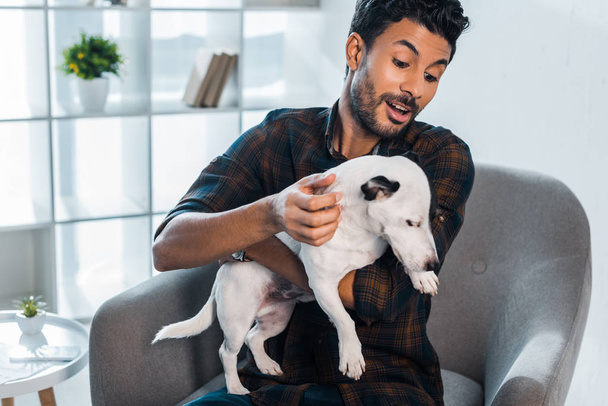 shocked and handsome bi-racial man holding Jack Russell Terrier - Zdjęcie, obraz