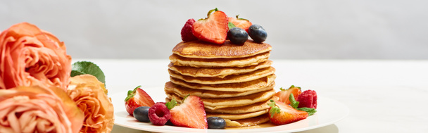 selective focus of delicious pancakes with blueberries and strawberries on plate near rose flowers on white surface isolated on grey, panoramic shot - Photo, Image