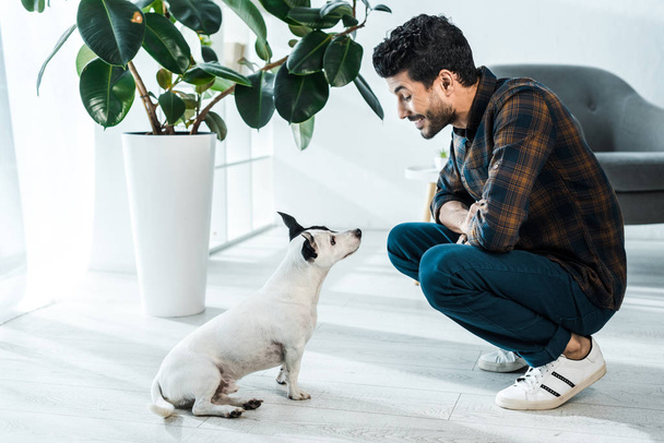 side view of handsome bi-racial man smiling and looking at jack russell terrier - Photo, Image