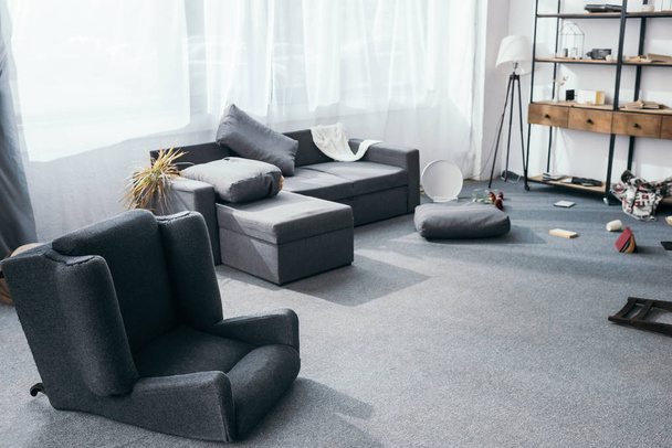sofá cinza, planta, travesseiros e poltrona em apartamento roubado
  - Foto, Imagem