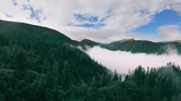 Drone vliegt langzaam boven het groene bos in mistige bergen - Video