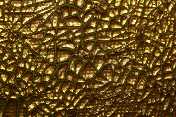 Cracked golden paint on canvas macro background high quality fif - Photo, Image
