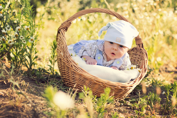 Baby boy in a basket - Φωτογραφία, εικόνα