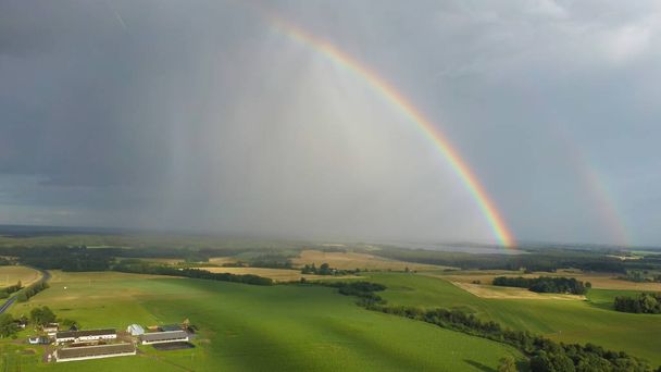Regenboog boven tarweveld. Flight Down Ripe Crop Field na regen en kleurrijke Rainbow in de achtergrond platteland. Graanscheut. - Foto, afbeelding