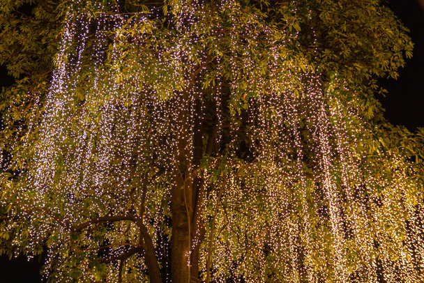 Decoratieve buitenverlichting hangend aan boom in de tuin   - Foto, afbeelding