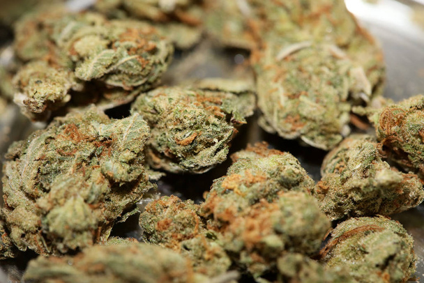 Cannabis brote fresa médica neblina macro fondo alto cuali
 - Foto, imagen