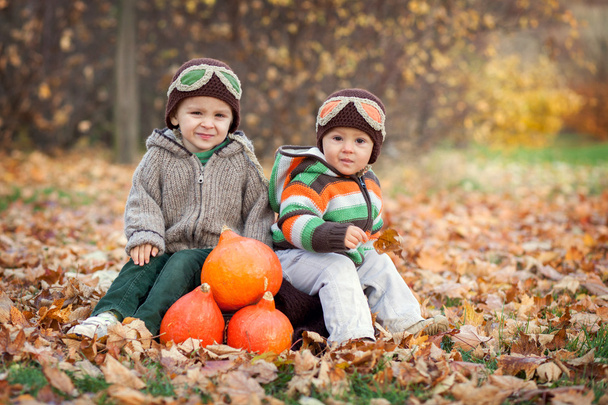 Two boys with a suitcase and pumpkins - Photo, image