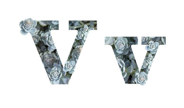Litera V, alfabet łaciński, małe litery i duże litery, odizolowane na biało. Litera szara srebrny wzorzysty izolat - Zdjęcie, obraz