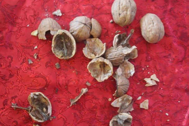 walnut and shell on a red carpet - Photo, Image
