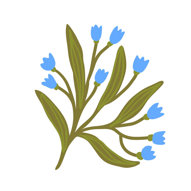Forget-me-not flower. Interior floral design. Blue flower isolated element for logo design - Vector, Image