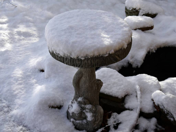 Close up shot of a bird bath all covered with snow on a winter morning - Photo, Image