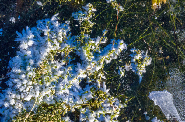 Μοτίβο υφής φόντο λευκό χειμώνας, φυσαλίδες αέρα πάγου ποταμών s - Φωτογραφία, εικόνα