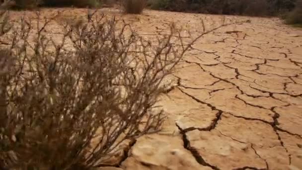 sucha popękana gleby podczas suszy - Materiał filmowy, wideo