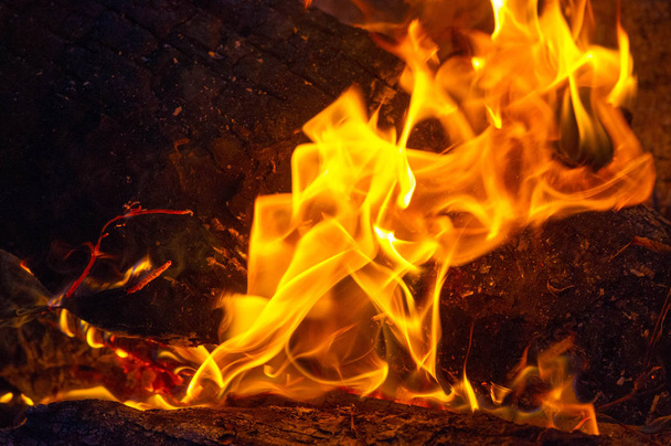Fire in its most common form can lead to a fire that can cause p - Foto, Imagem
