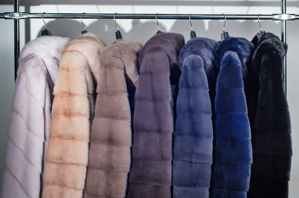 Un número de abrigos de piel de visón teñidos para el catálogo, diferentes colores de cerca
 - Foto, imagen
