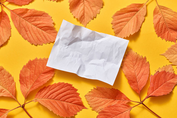 Greeting card from crumpled paper sheet with colored fall leaves on an yellow background, copy space. Flat lay. - Foto, Imagem
