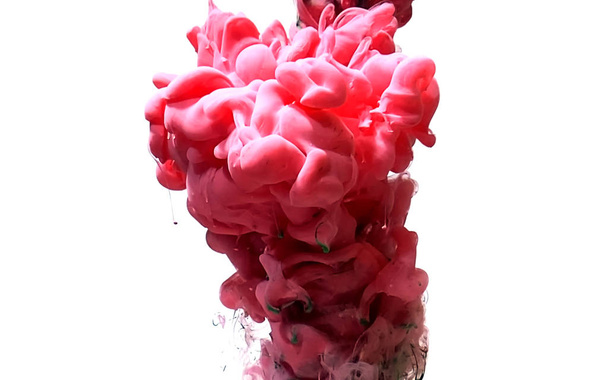 Powerful explosion of paints on a white background. Pink abstrac - Photo, image