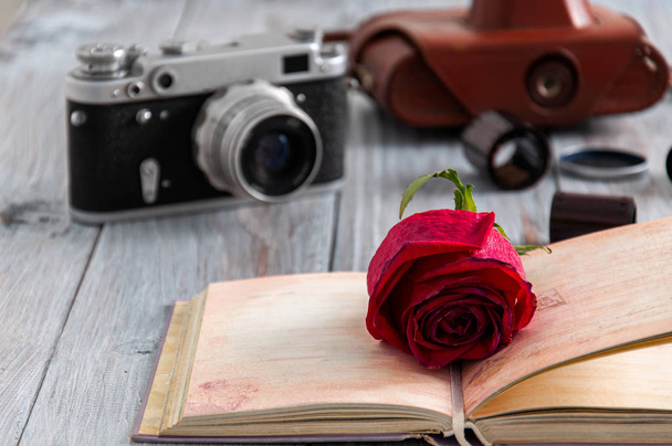 Piękna czerwona róża leży na szarym drewnianym stole na tle filmów z kamery i starego aparatu i otwartej książki. Stary aparat fotograficzny, torba i filmy na szarym drewnianym stole.  - Zdjęcie, obraz