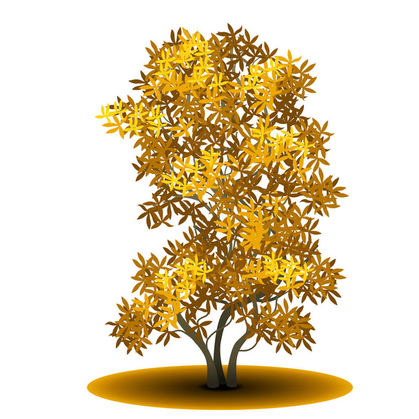 detached tree with yellow leaves - Vettoriali, immagini