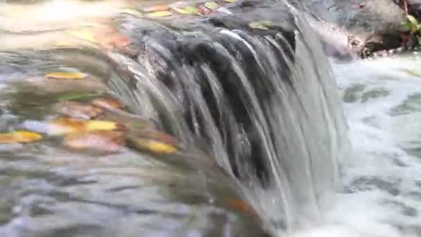 River stream water slowly flow the rocks concept landscape with a waterfall in a summer in holiday - Footage, Video