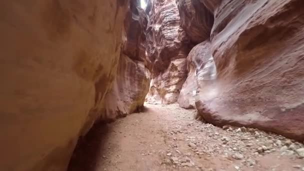 Wandelen in Canyon in de oude stad Petra - Video