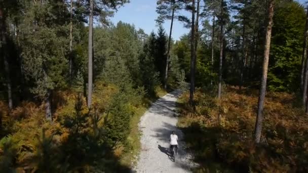 Riding bike through forest - Footage, Video
